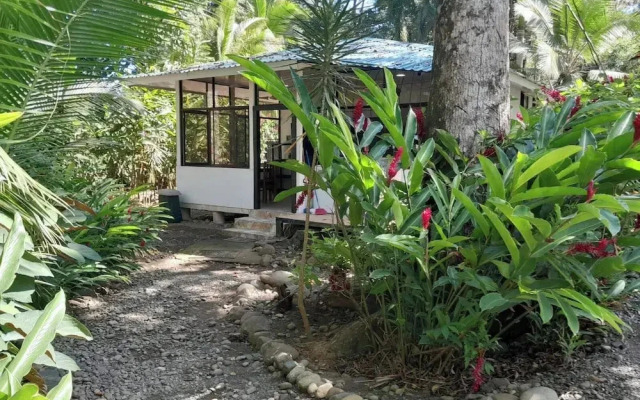 Hotel Arrecife Punta Uva
