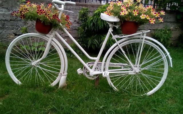 Guest House Vila Banjica