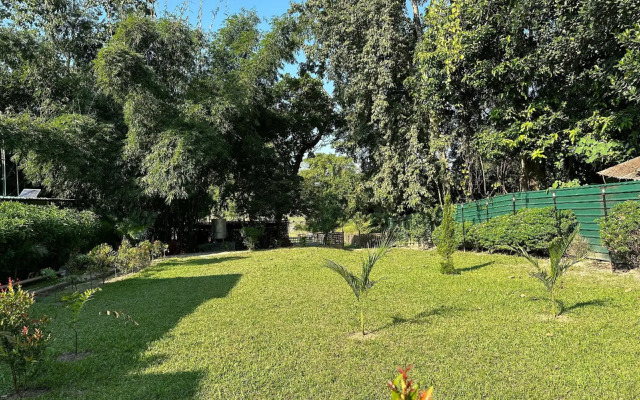 Jungleciti House Kaziranga National Park