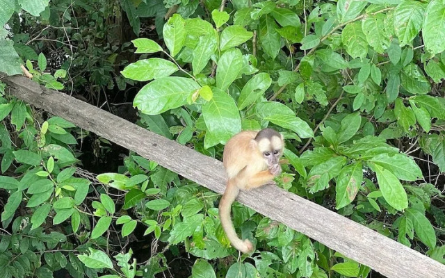 Pousada Cabana Nativa Paraíso