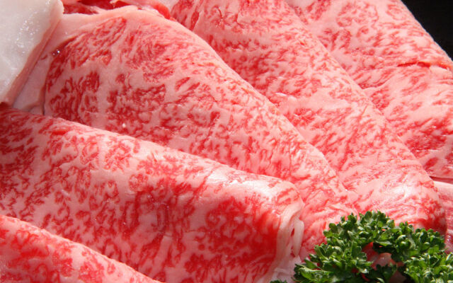 Kyoto Nanzenji Garden Ryokan Yachiyo Established in 1915