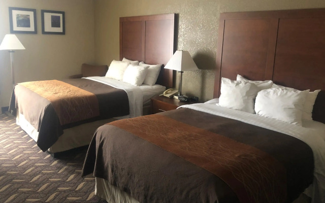 Comfort Inn & Suites