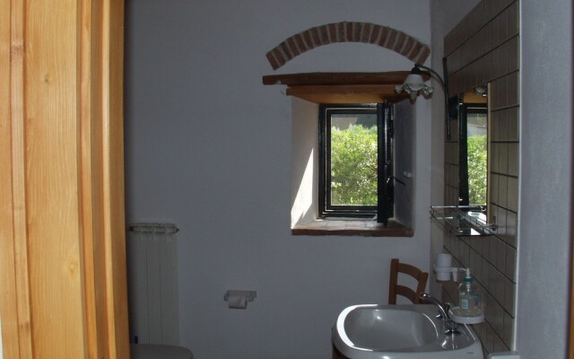 Codavolpe Giardino di Tea