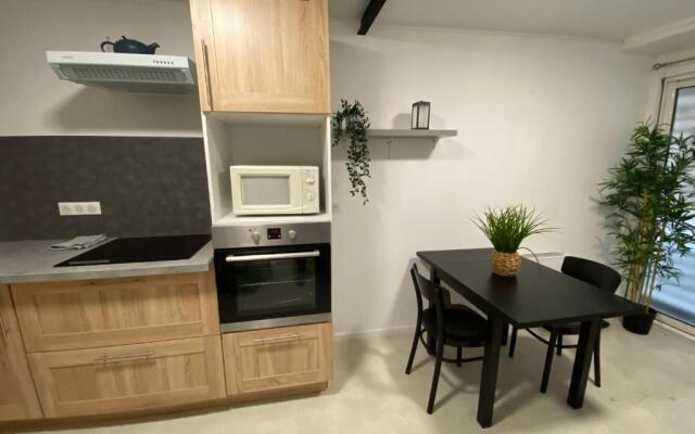 COSY & SPA Appartement Luxe JACUZZI SAUNA Suite Cristal