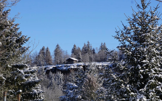 Wanderlust - Thüringer Wald, Rennsteig, Finsterbergen