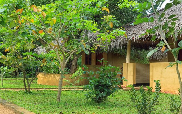 Niyagala Lodge