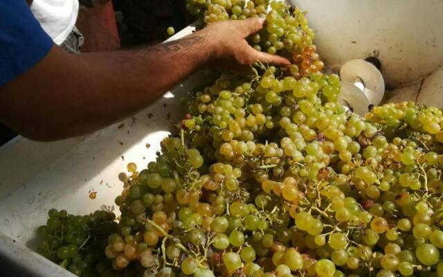 Agriturismo del Monte