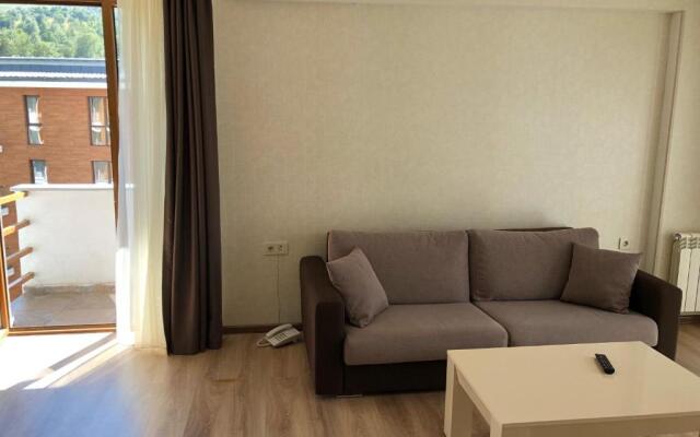 Orbi Palace Bakuriani, Apt. #402
