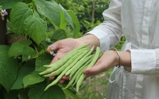 Qinglai Holiday Villa