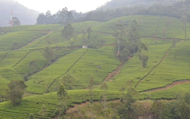 The Edge Luxury Apartment