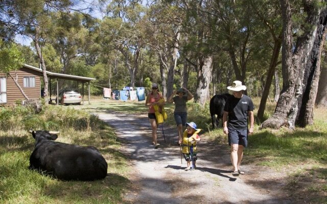 Che Sara Sara Chalets