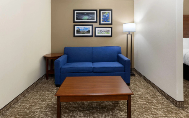 Wingate by Wyndham College Station South