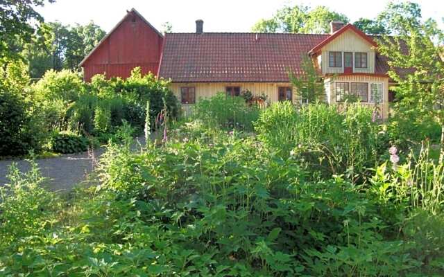 Vildrosor & Höns