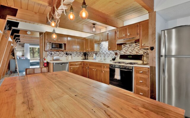 Fox & Bears Retreat#2190