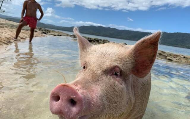 Isla - The Isla Experience