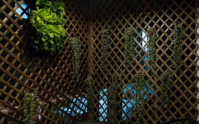 Chedee Hostel Chiang Mai