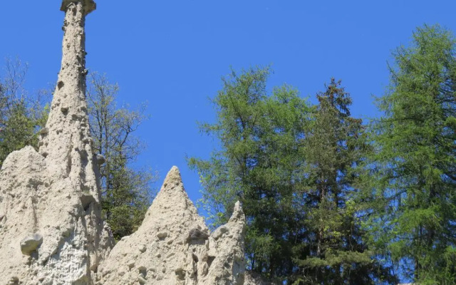 Hotel Am Wolfgrubenersee