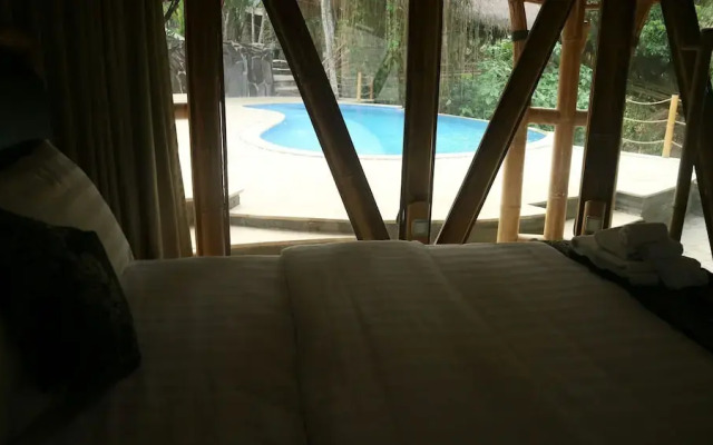 The Osing Bamboo - A Liberta Collection