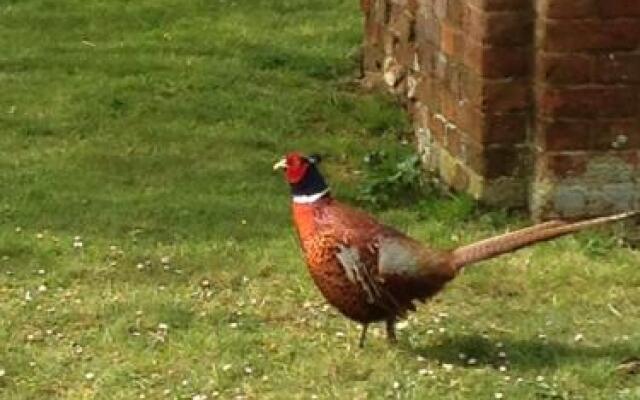 Zouch Farm Bed & Breakfast