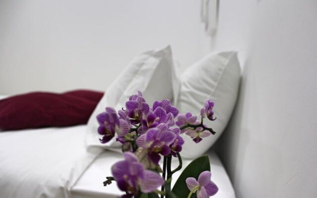 Nine Senses Guest House