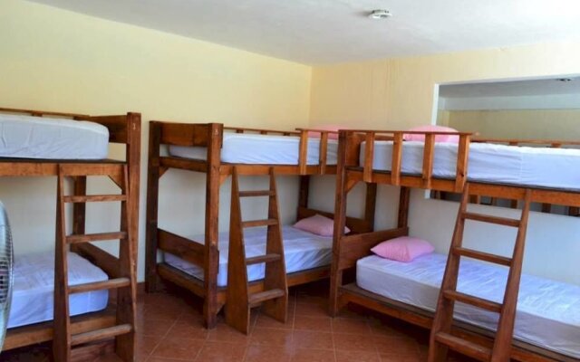 Mayan Amazons Hostel