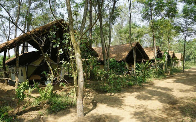 Tiger Tops Tharu Lodge