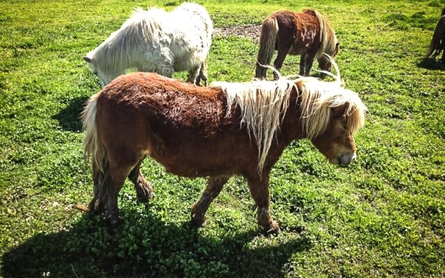 Tortuga Casa Vacanze