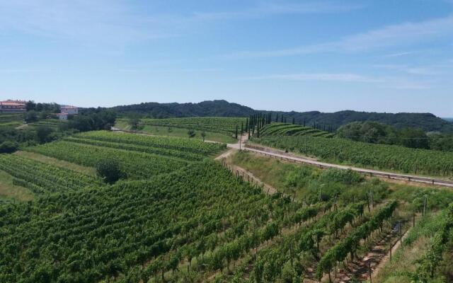 Agriturismo Casa delle Rose Winery