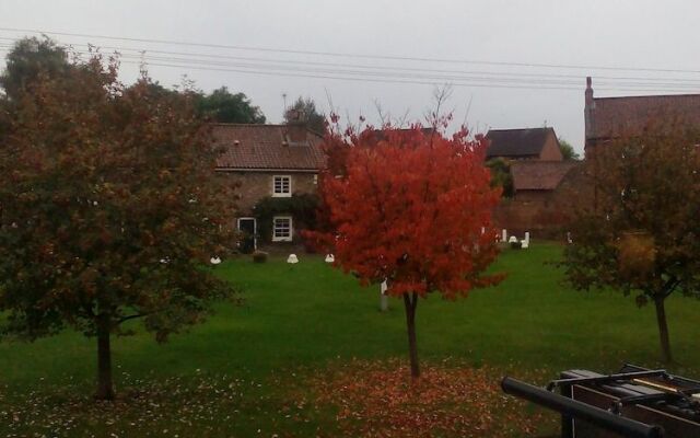 The Grey Horse
