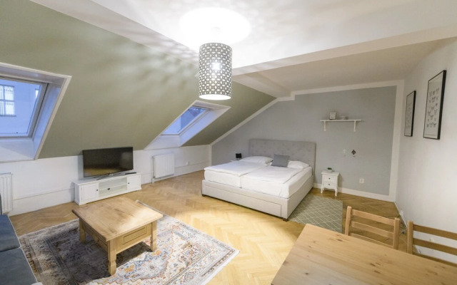 Ruzova Spot Apartments