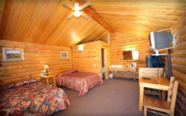 Bear Country Cabin #7
