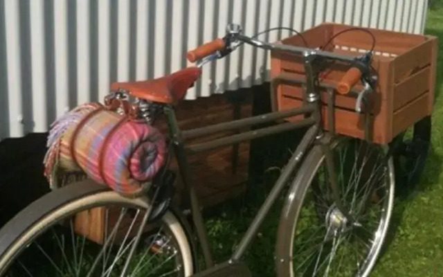 The Shepherds Return