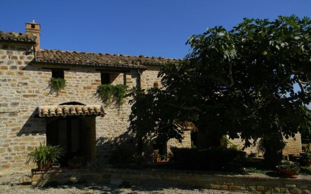 Azienda Agrituristica Colle San Giorgio