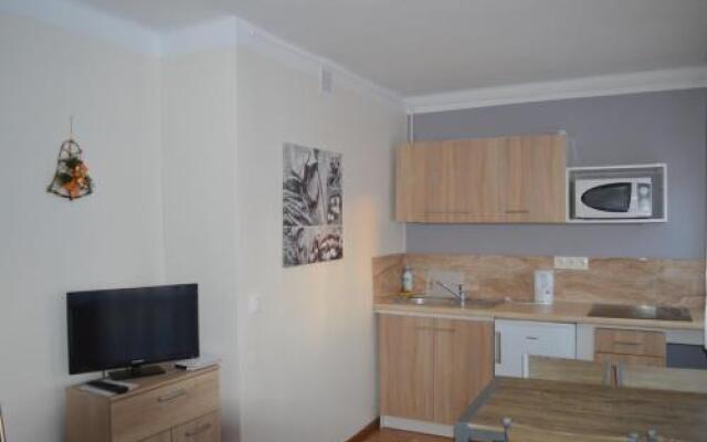 Apartament Ustrzyki