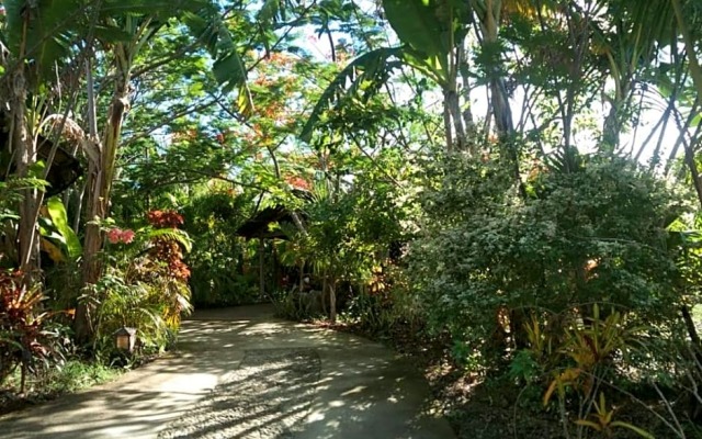 Jungle of peace