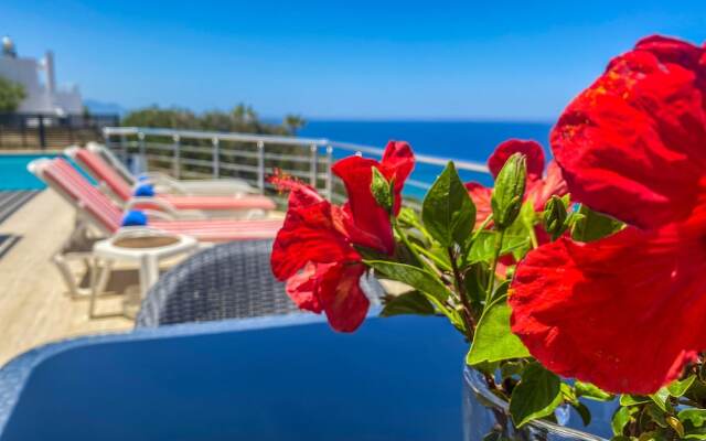 Sea Cliff Villa, 4 Beds, Sleeps 2- 8, Free Wifi,