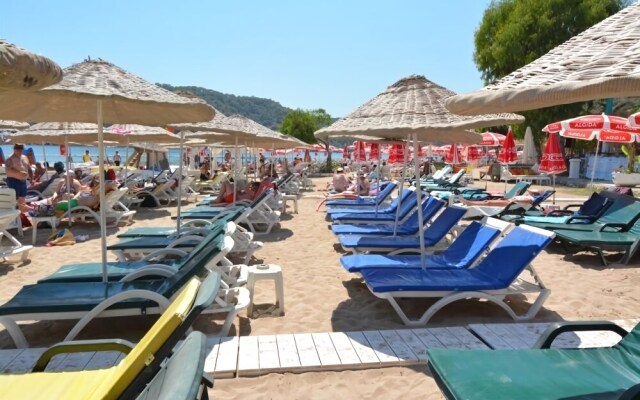 Golden Sand Beach & Caravan