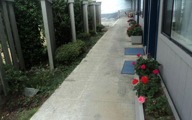 Lighthouse Cove Inn