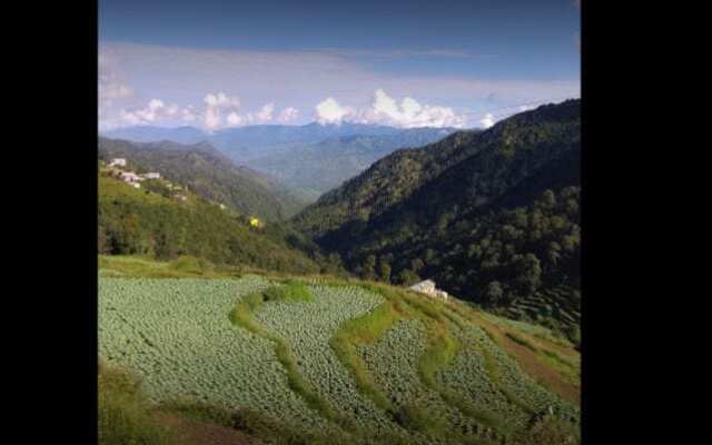 Hotel Heavenly Heights