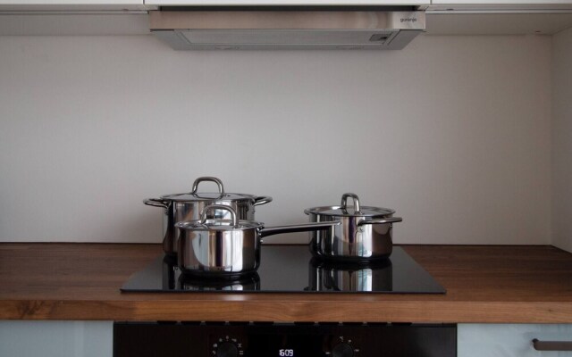 Spacious Work-focused Apartments in Prague 3