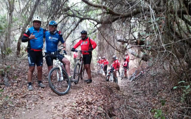 Cabañas Aquario Papudo