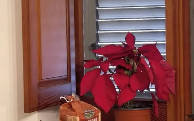 Itiseasy Cuglieri 2 Luxury Apartment