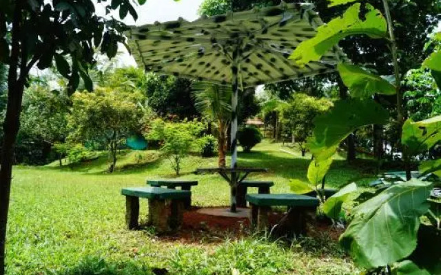 Contour Jungle Resort