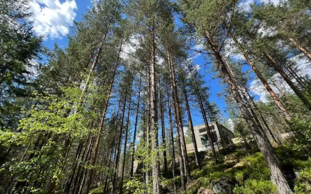 Tretoppen - Ny moderne hytte, Unike Finnskogen