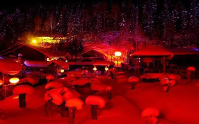 Lao Dongbei Inn (Xuexiang National Forest Park Store)