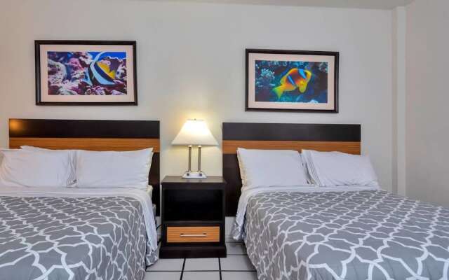 Amazing 1br apartment with pool, Hallandale Beach!