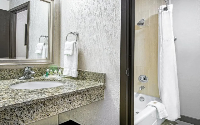 Holiday Inn Houston-Southwest-Highway 59S@Beltwy 8