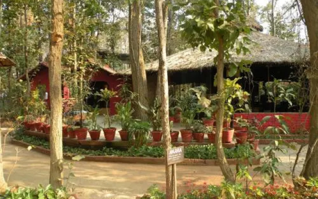 Kanha Jungle Lodge