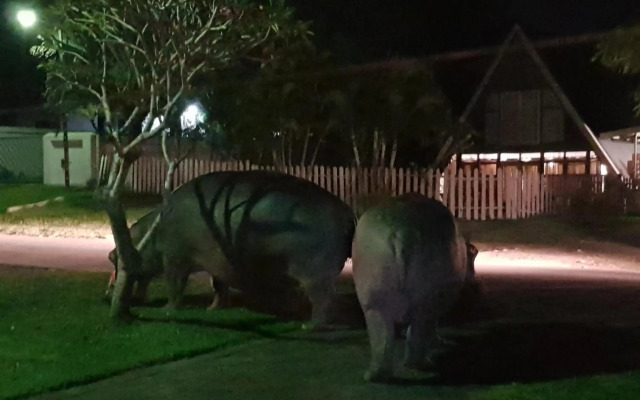 Ndiza Lodge & Cabanas