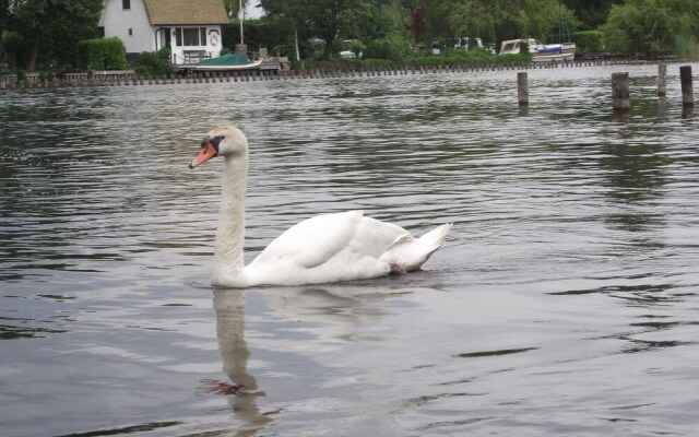 Nice Home in Breukelen With 2 Bedrooms and Wifi